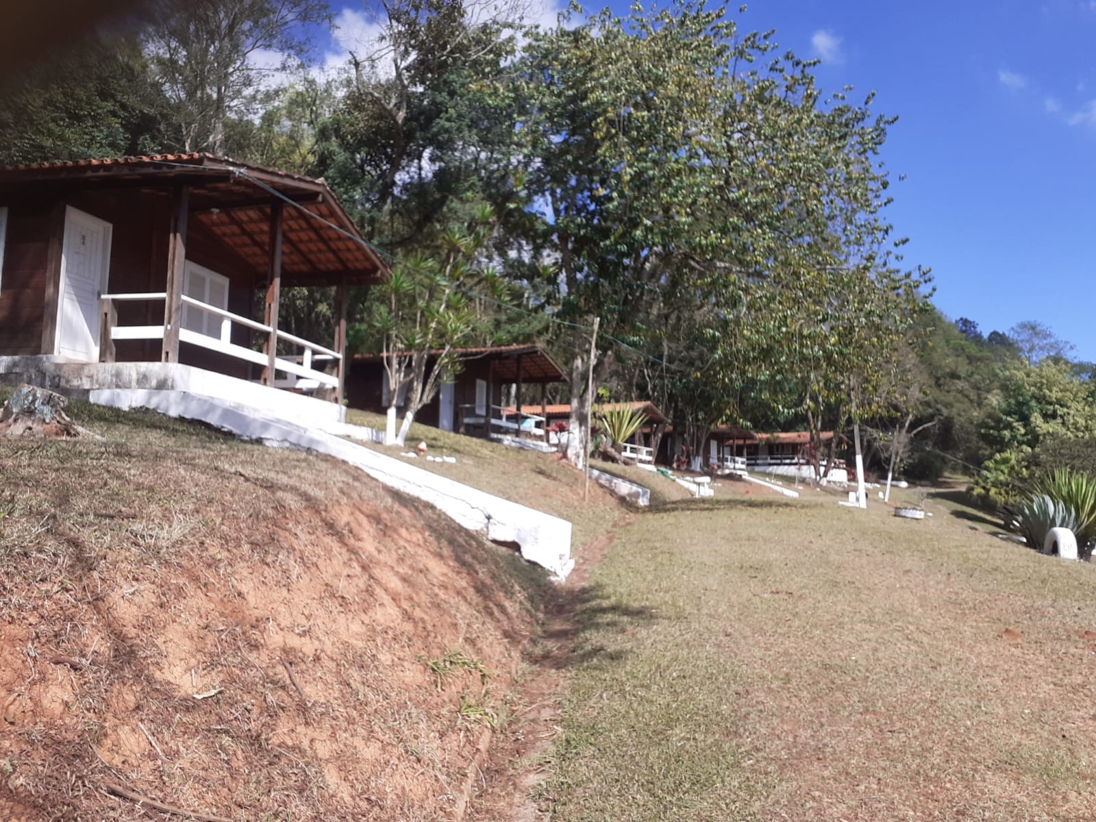 Foto 1 - Jardim Algarve