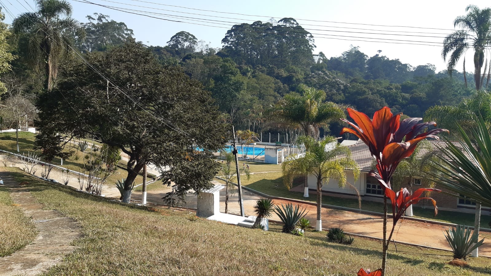 Foto 6 - Jardim Algarve