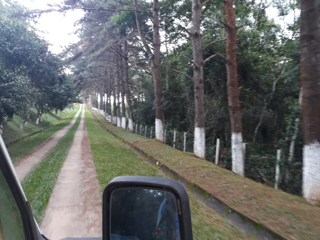 Foto 9 - Jardim Algarve