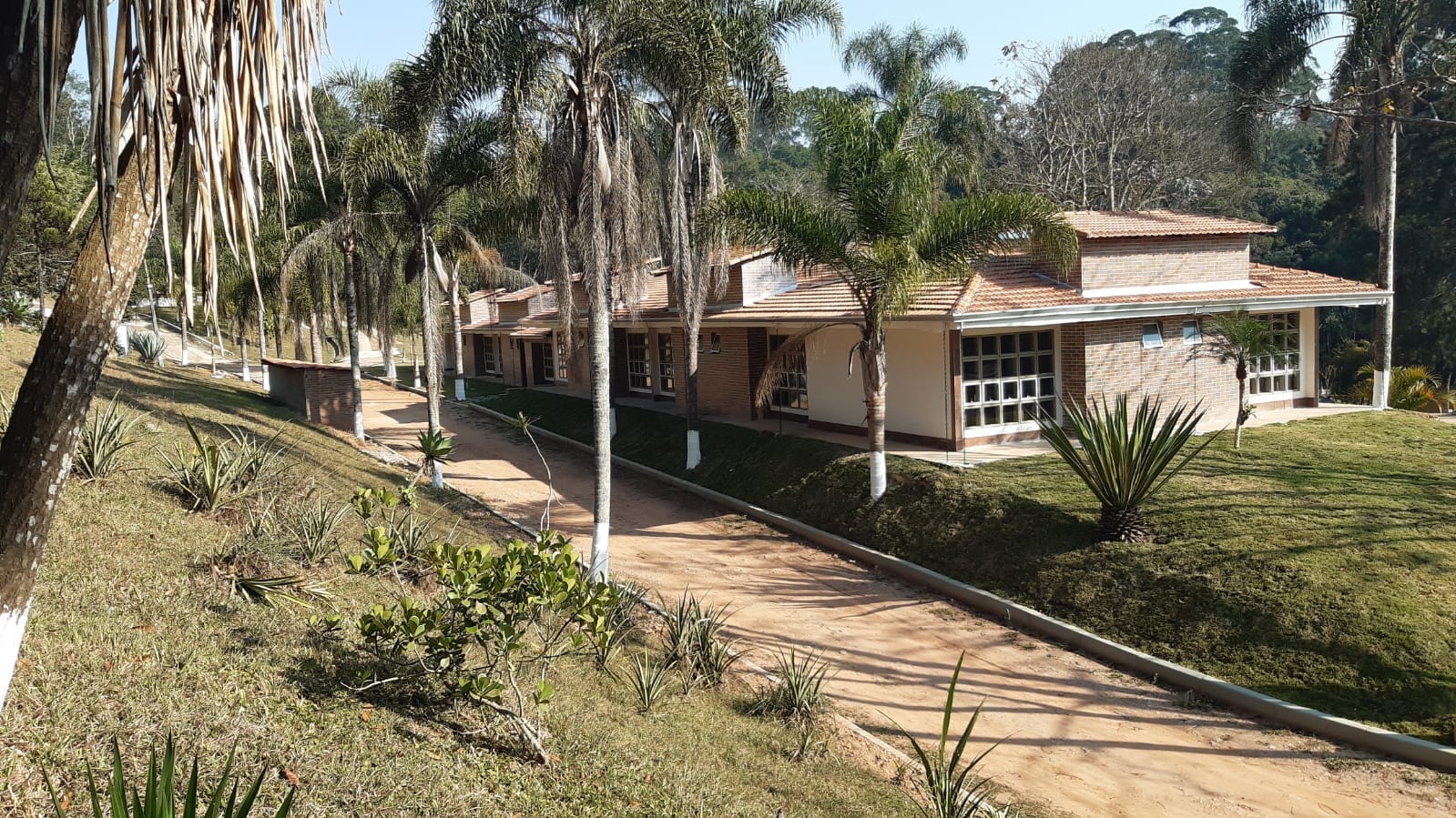 Foto 10 - Jardim Algarve